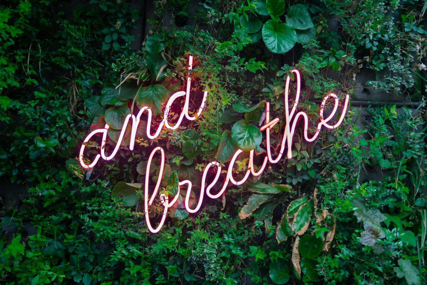 Leuchtschrift mit dem Wort "and breathe" als Symbolfür einen ruhigen Moment